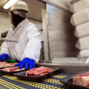 Food Safety level 2 in Manufacturing