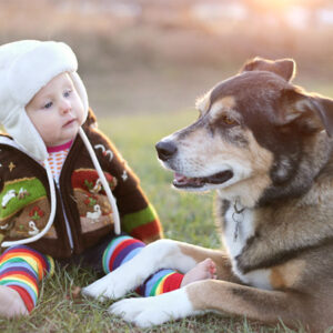 Safeguarding Children