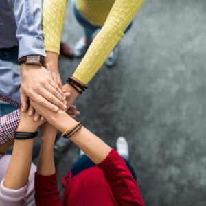 Team Building - Developing High Performance Teams